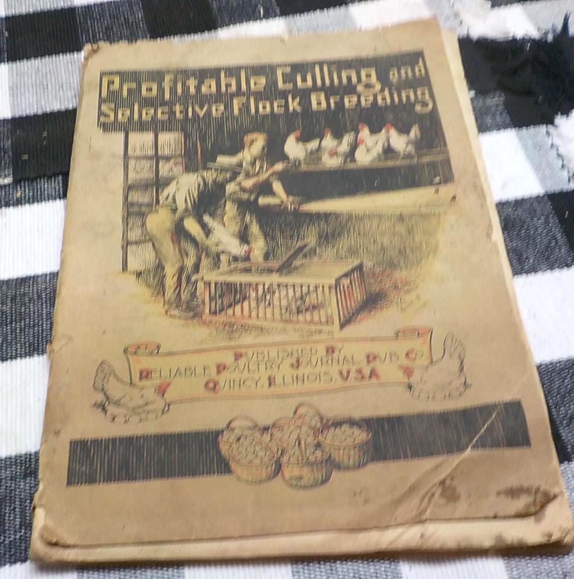 Profitable Culling and Selective Flock Breeding — Antique Poultry Farming Paperback, circa 1900s
