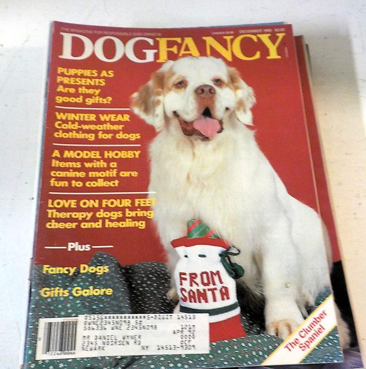 Dog Fancy Magazine 1990–1991 — Lot of 8 Issues, Lot B 205