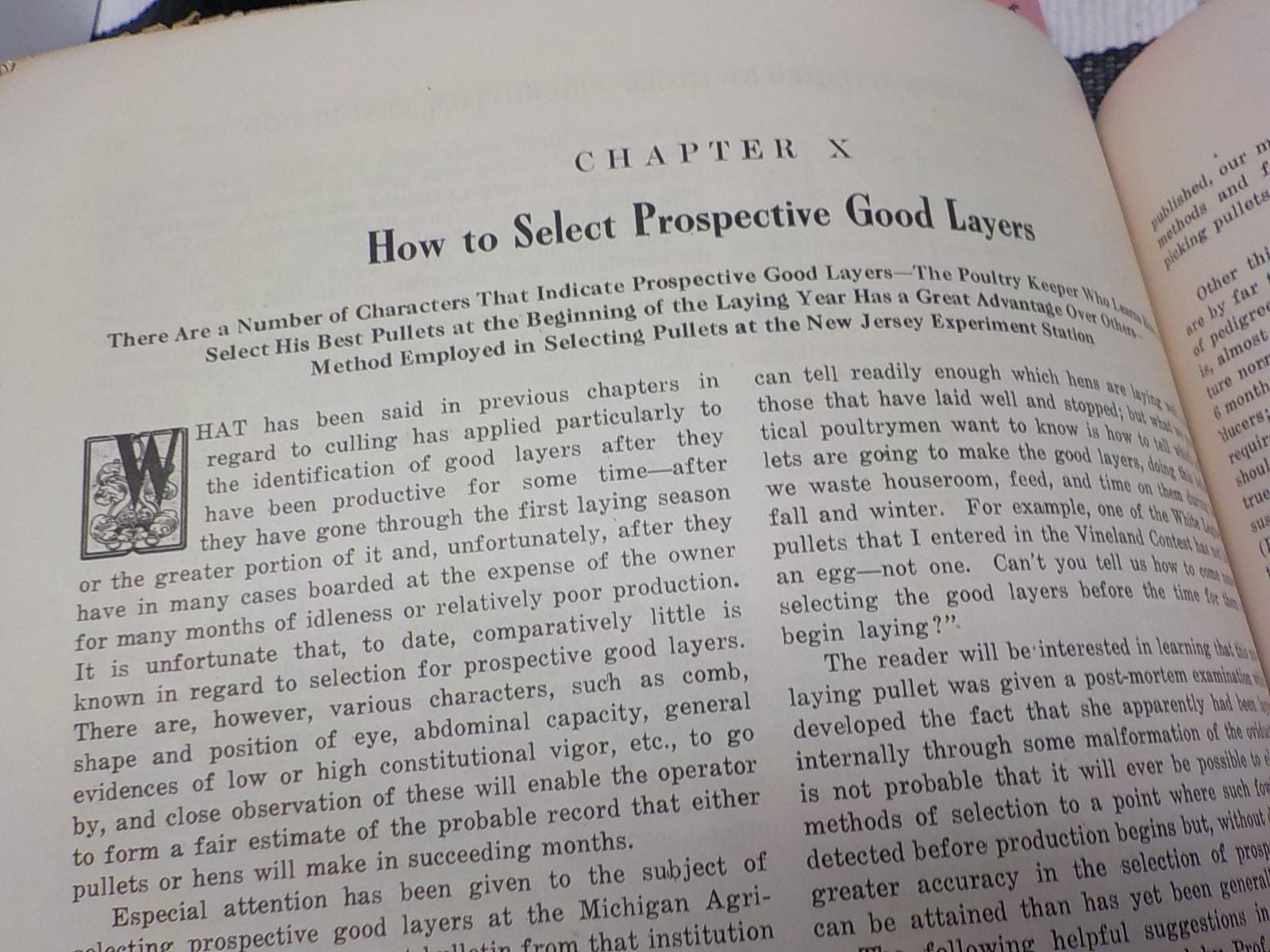 Profitable Culling and Selective Flock Breeding — Antique Poultry Farming Paperback, circa 1900s