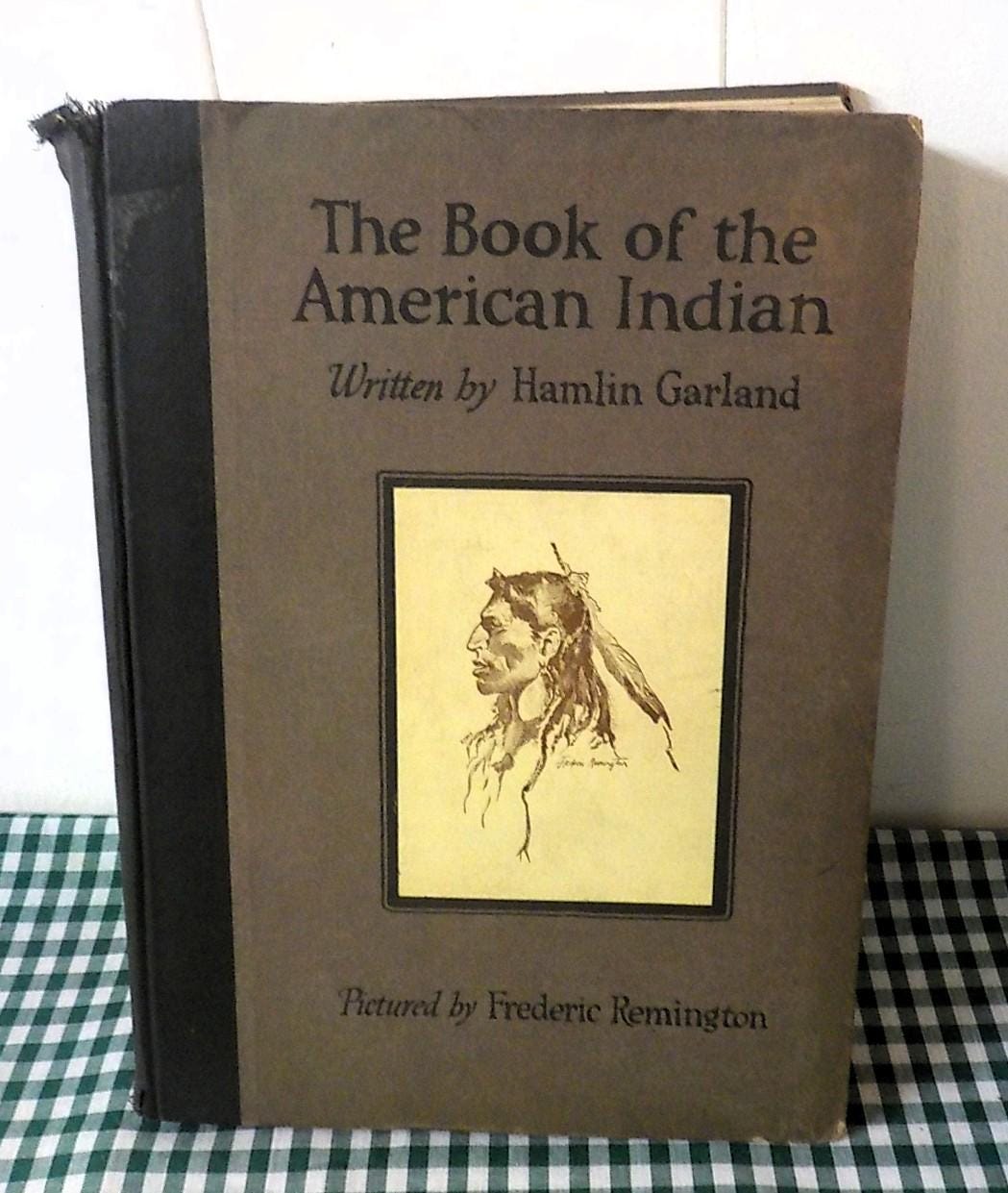 Book of the American Indian by Hamlin Garland Pictures by Frederic Remington 1st. edition b 222