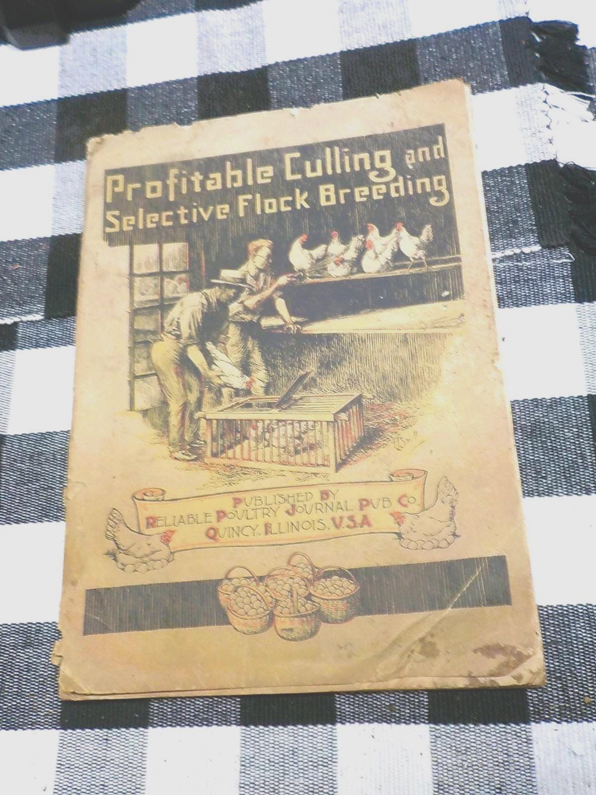 Profitable Culling and Selective Flock Breeding — Antique Poultry Farming Paperback, circa 1900s