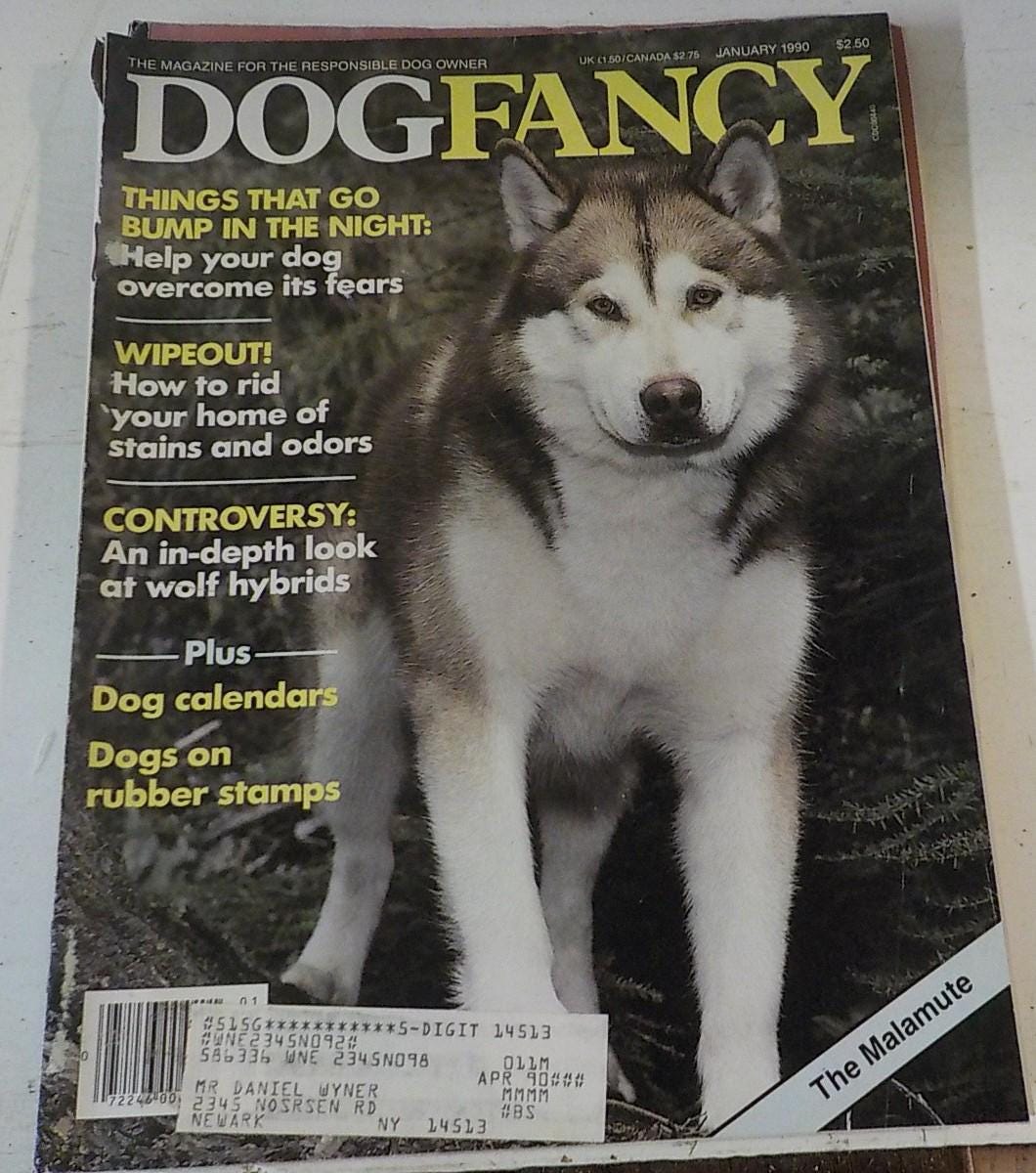Dog Fancy Magazine 1990–1991 — Lot of 8 Issues, Lot B 205