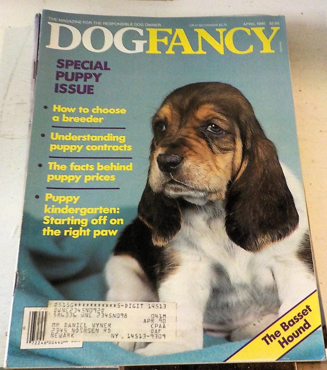 Dog Fancy Magazine 1990–1991 — Lot of 8 Issues, Lot B 205
