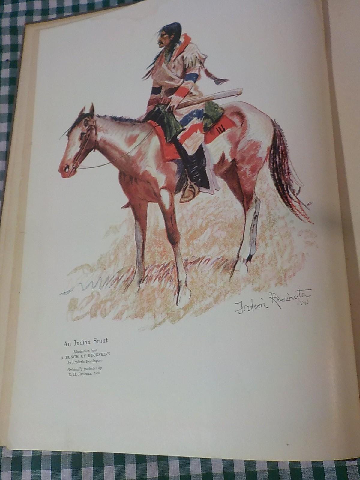 Book of the American Indian by Hamlin Garland Pictures by Frederic Remington 1st. edition b 222